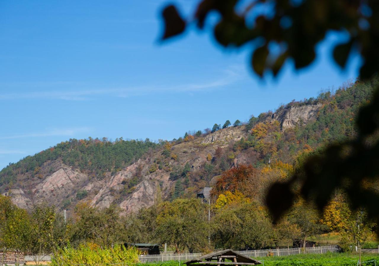 Hotel & Ferienwohnungen Bohlenblick Saalfeld Saale Eksteriør bilde
